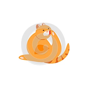 Cat washing itself vector character