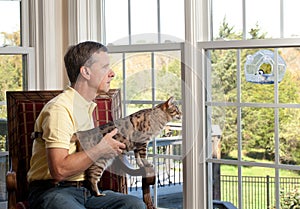 Cat watching bird on feeder