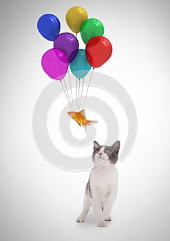 Cat watching fish floating tied to balloons