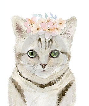 Cat Watercolor Flower Animal Art. Watercolour Kitty illustration isolated on white.