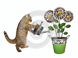 Cat watering money flowers