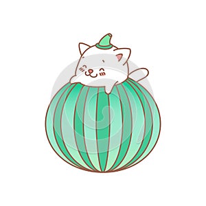 Cat with watermelon