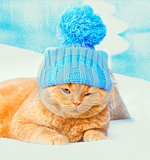 Cat wearing a cap with pompom