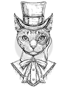 Cat wearing cylinder top hat and monocle. Hipster style hand drawn vector illustration