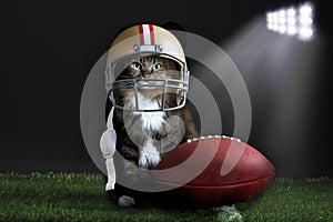 Cat wearing football helmet on playing field photo