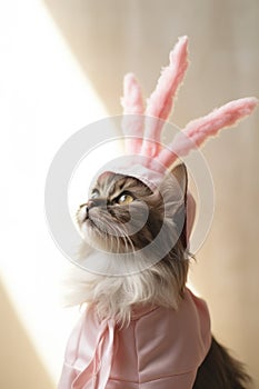 A cat wearing a pink bunny costume with rabbit ears, AI