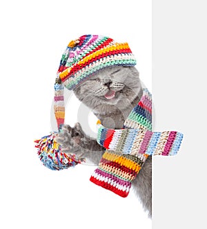 Cat wearing a scarf and warm hat peeking from behind empty board. isolated on white background