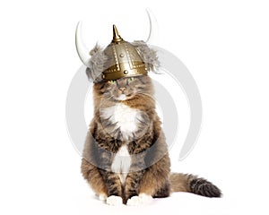 Cat Wearing Viking Helmet