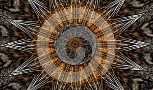 Cat whiskers Kaleidoscope Mandala horizontal