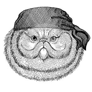 Cat. Wild animal wearing pirate bandana. Brave sailor. Hand drawn image for tattoo, emblem, badge, logo, patch