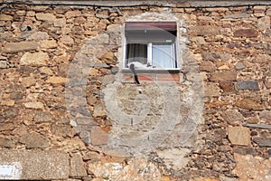 Cat in the window of a old stone house