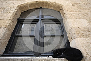 Cat on windowsill