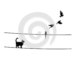 Cat silhouette on wire and flying birds isolated on white background, vector