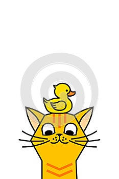 Cat with yellow rubber duck. Cat and duck