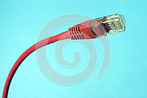 CAT5 ethernet connector photo