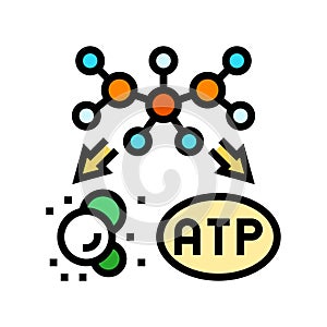 catabolism biochemistry color icon vector illustration