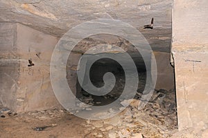 Catacombs of the Eastern Crimea, home to colonies of bats