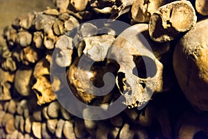 The Catacombs of Paris photo