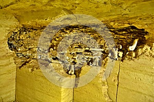 Catacombs of the underground near Odessa in Ukraine