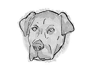 Catahoula Bulldog or American Mastahoulas Dog Breed Cartoon Retro Drawing