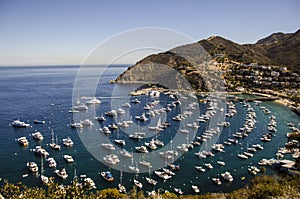 CATALINA ISLAND BOATS