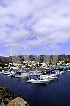 Catalina Island harbor