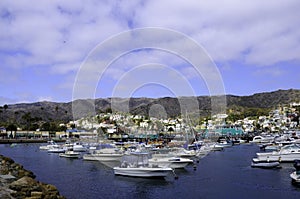 Catalina Island harbor