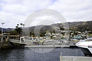 Catalina Island harbor