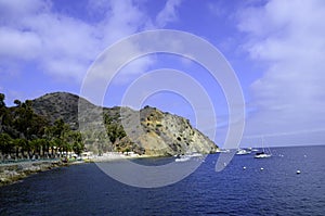 Catalina Island harbor