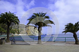 Catalina Island harbor