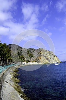 Catalina Island harbor