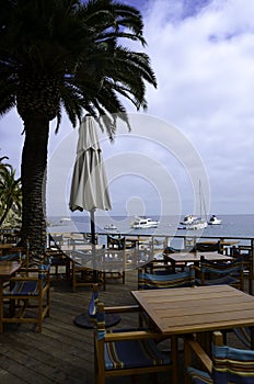 Catalina Island harbor