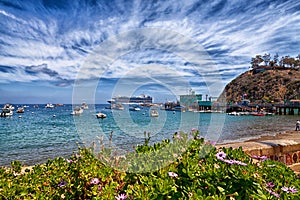 Catalina Island Harbour photo