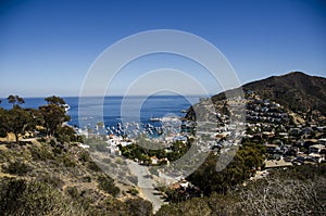 CATALINA ISLAND LANDSCAPE