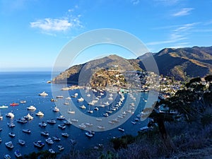 Catalina Island view photo