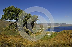 Catalonia landscape