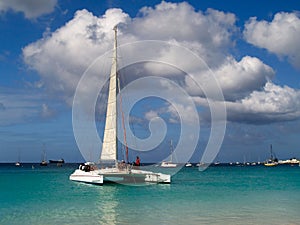 Catamaran photo