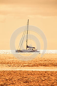 A catamaran is anchored in front of a sandy beach