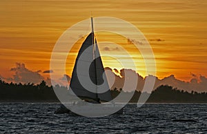 Catamaran bij zonsondergang, Catamaran in sunset