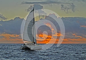 Catamaran bij zonsondergang, Catamaran in sunset