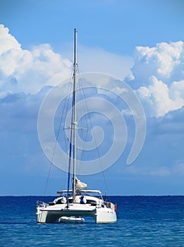 Catamaran in the blue ocean