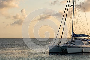 Catamaran boat in the Carribean sea at sunset