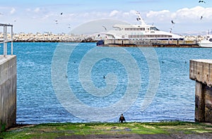 Catamaran docked at harbour on Robben Island with cormorants and