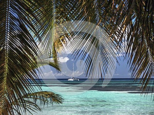 Relaxation in the Caribbean with the azure sea and palms.