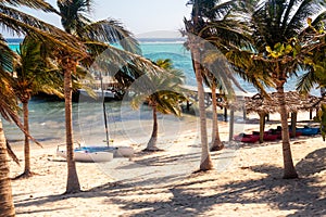 Catamaran, kayaks, and palm trees