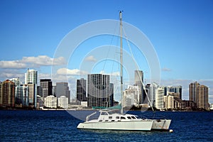 Catamaran and Miami Skyline photo
