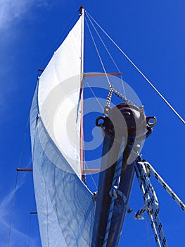 Catamaran sail photo