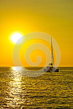 Catamaran sailboat at golden sunset