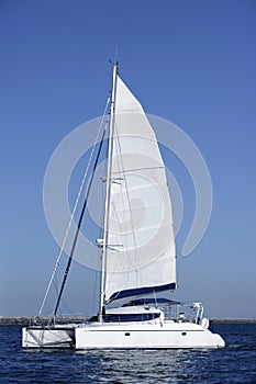 Catamaran sailboat sailing blue ocean water