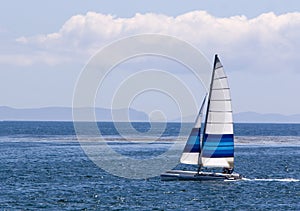 Catamaran Sailing photo